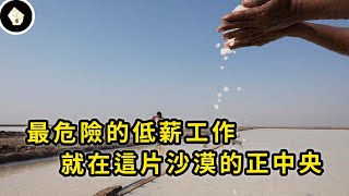 世界上最危險的工作，竟是在生產我們天天都在吃的鹽巴