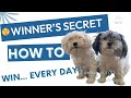 Winners secret sauce how to win every day day