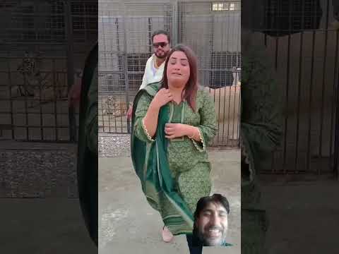 عورت رونے لگی Tiger Lionslover Shortsvideo Youtubeshorts Viralvideo Youtube Popularvedio عورت رونے لگی Tiger Lionslover Shortsvideo Youtubeshorts Viralvideo Youtube Popularvedio