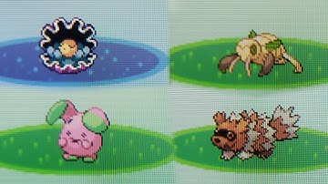 4 LiVE SHiNiES in HOENN REGiON (3rd Generation)