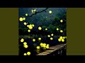 Fireflies mp3