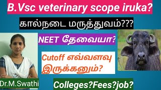 Bvsc Course Details Veterinary Colleges In Tamilnadu Tanuvas Tanuvas Veterinary Colleges