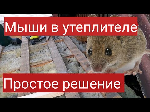 Мыши в утеплителе! Защита утеплителя от мышей! Мастер до всех дел