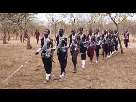 Video: Nejlepší fotografie minulého týdne (15. – 21. Října) z National Geographic