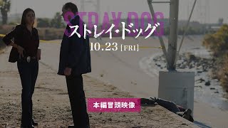 映画『ストレイ・ドッグ』本編冒頭映像｜謎に満ちた射殺体の発見現場から物語は始まる。