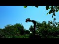 WATER - Flecks of Light/The Tower of Light
