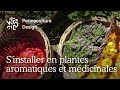 Sinstaller en plantes aromatiques et mdicinales  la reconversion professionnelle de sophie