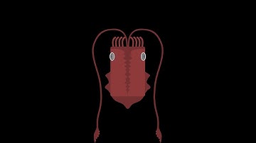 How to become the giant squid (Deeeep.io)