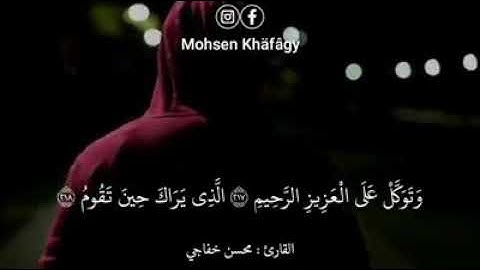 تلاوة هادئة تدخل القلب للقارئ محسن الخفاجي 🌹