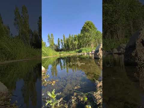 طبیعت زیبای یاسوج طبیعت طبیعت بکر طبیعتگردی رودخانه