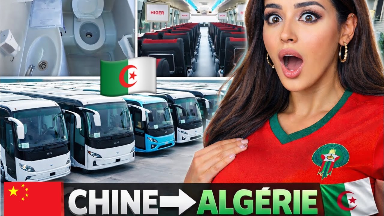 الجزائر تفاجئ الجميع! حافلات ألمانية + صينية جديدة… مغربية في حالة صدمة🇩🇿🇲🇦