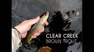 Fly Fishing - Clear Creek Canyon, late April 2022