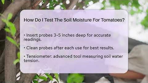 How Do I Test The Soil Moisture For Tomatoes? - The Plant Enthusiast