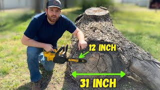 Tiny DeWalt Chainsaw VS Huge Log!