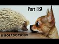 Hood Animal Voiceovers Part 83!