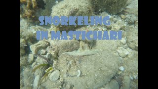 Snorkeling in Mastichari on the island of kos in Greece