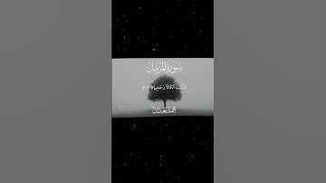 سورة المزمل|10-13|القارئ:#محمد_اللحيدان #قران #quran #قران_كريم #تلاوة #تلاوة_هادئة #آية#تلاوة_خاشعة