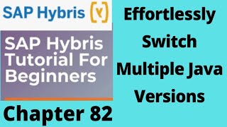 how to switch between the multiple java versions(jdk) | change java version in cmd | sap hybris