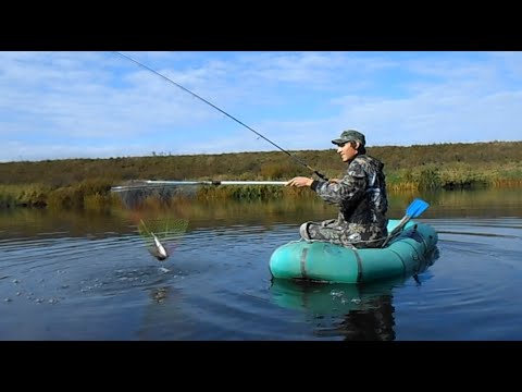 Щука осенью на спиннинг осенью видео - ловля щуки на спиннинг осенью видео Как ловить щуку осенью | Выбор удилища, катушки и приманок