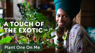 HOUSEPLANT HOME TOUR with an EXOTIC Touch — Ep. 237