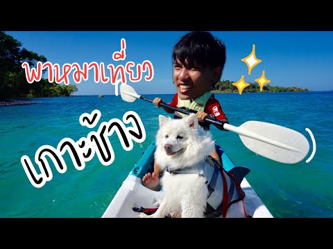 คนได้พักหมาได้เที่ยว EP.2 Siam Bay Resort Ko Chang