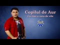 Copilul de aur  cu tine o suta de zile official track