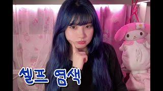 여름맞이 파란머리 셀프염색🌊💙 헬로버블 웨일딥블루