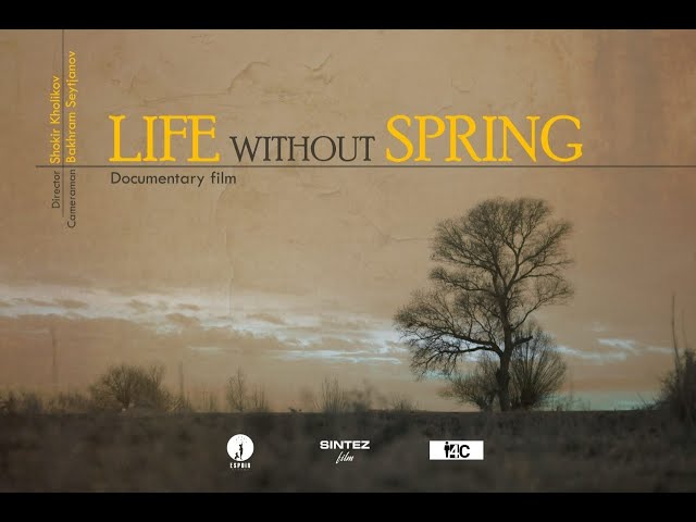 Trailer Life without spring