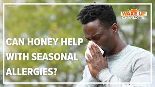 No, local honey will not cure your allergies