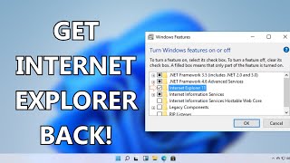 How to Open Internet Explorer without Microsoft Edge in Windows 10/11 (2023)