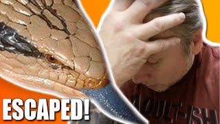 MY LIZARD (Potato) ESCAPED AT THE REPTILE ZOO!!! | BRIAN BARCZYK