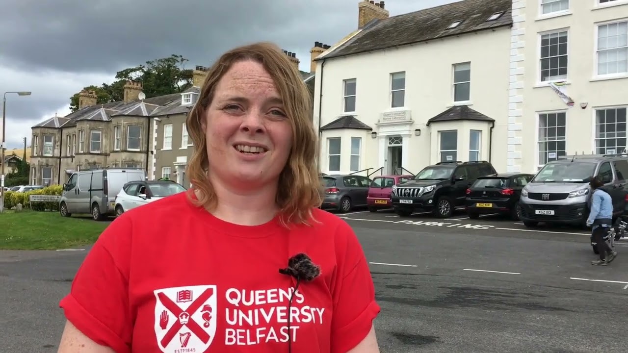 Queen's Marine Laboratory Open Day 2024