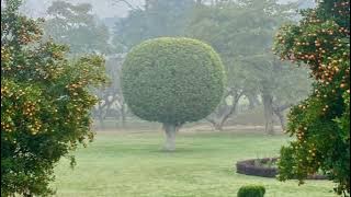 NIMESITIRIKA/ ZENA MUHAMMED #taarabmusic #taarabsongs @Mizikiyote