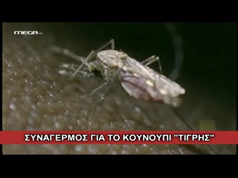 Βίντεο: Έχει αλλάξει η φόρμα 1099 misc;