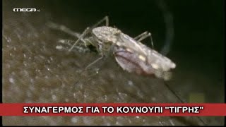 Η Πολυκατοικία - Επεισόδιο 110 HD | Ήταν μια φορά ένα κουνούπι τίγρης…