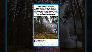 BEST WAY TO CLEAR POWER LINES