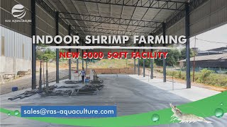 Setting up our new Indoor Shrimp Farm 100km from the Coast | Zero Water Exchange Shrimp Aquaculture