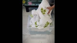 👉 "No Paint, No Chemicals — Just Leaves Printing Real Colors on Cloth! 🌿✨" #shorts #viralvideo