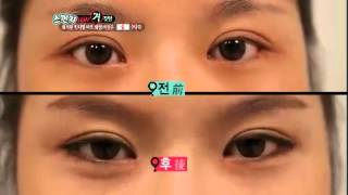 스펀지 Sponge EP238 # 006