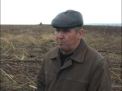 Спк санкт петербург. Спк пенза. Пензенская область село николо барнуки. Мясокомбинат бессоновский. Спк пенза.