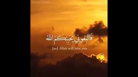 أرح سمعك تلاوة القرآن الكريم القارئ الشيخ أحمد العجمي حالات وتس اب حالات دينية