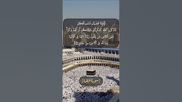 سورة البقرة الآية ١٩٩ الى ٢٠٢ بصوت الشيخ محمد صديق المنشاوي