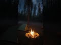 Cozy campfire in the wilderness🔥🌲 #naturebeauty #cozynights #quietluxury #luxurylifestyle #fire