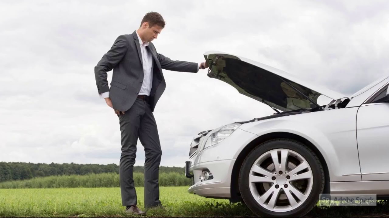 Bee Line Bus Schedule Today Near Yonkers Ny