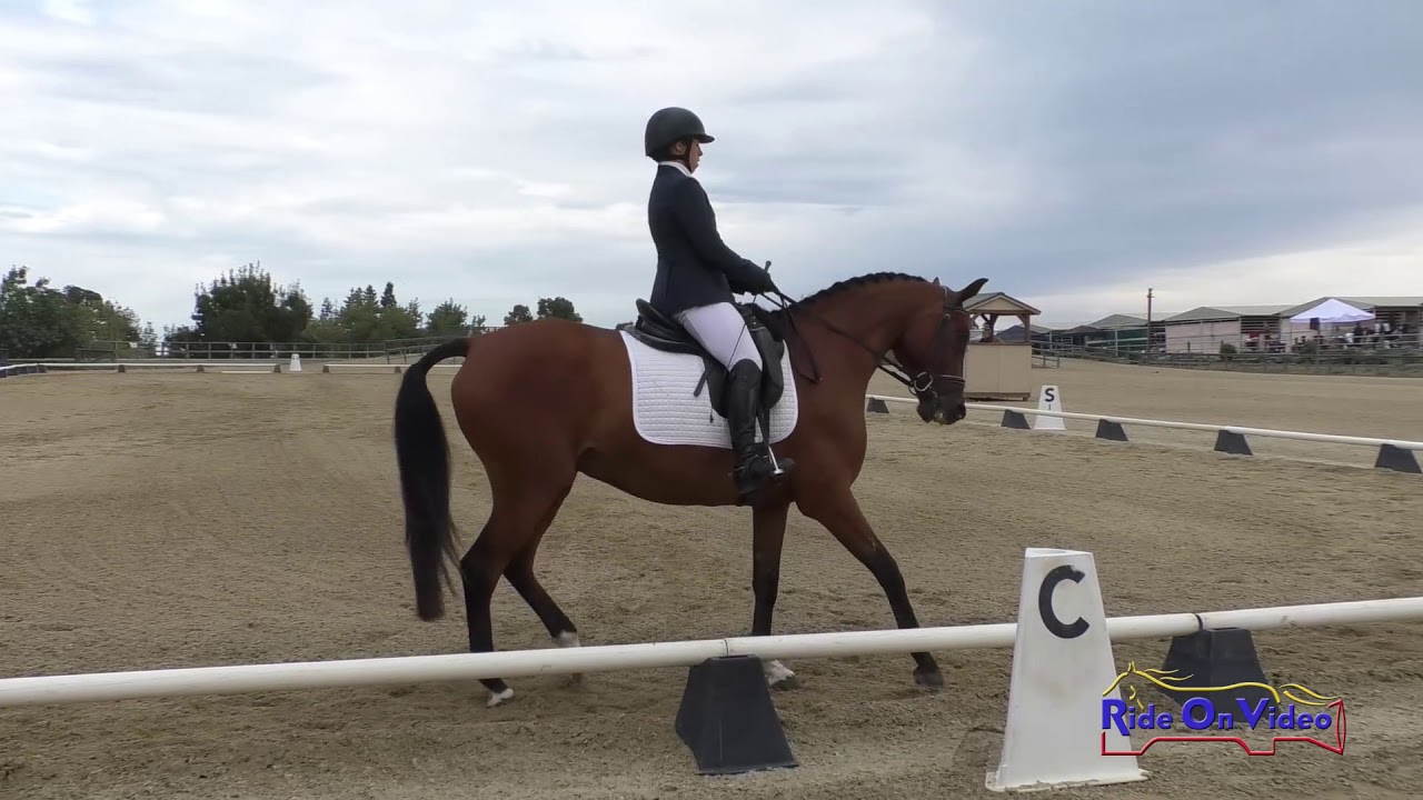 horseshoe bend 046D Madison Lloyd on Clintwald Modified Training Dressage Woodside August 2019