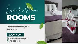 Jamaica 🇯🇲 is calling! Book Lavender Moon! Call 876-506-8440!