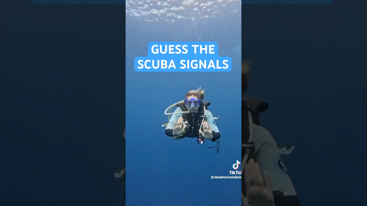 Common Scuba Diver Hand Signals | Scuba Diving Tips 