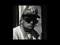 [FREE] Griselda x Westside Gunn Type Beat "Mu$hroom"
