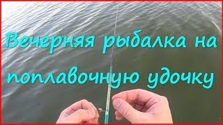 Успеть наловить за час 🎣  Рыбалка на поплавочную удочку в августе