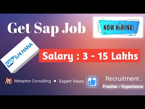 SAP Job Vacancy for Fresher & Experience Profile | Metaphor Consulting Job Opportunity |2022 Sap job